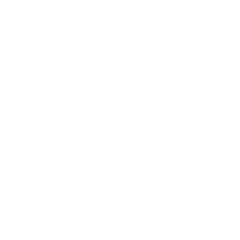 User Interviews Findings